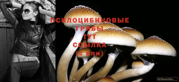 мескалин Каменногорск